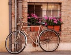 la bicicletta .... passione