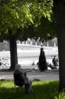 sguardo nel parco