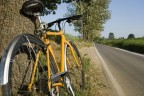 Una strada e le proprie forze