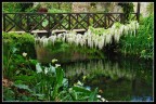 the romantic bridge