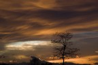 Il cielo che mi sono ritrovato davanti a casa, mentre stavo salendo per la cena.
Ha bussato e io ho aperto... la borsa fotografica!