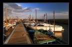 Il porto di Gorino