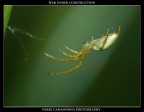 web under construction