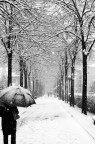 CIAO A TUTTI SCUSATE PER IL RITARDO MA NON VI HO DIMENTICATO ANZI PER ME E' STATO UN PIACERE ESSERE AL VOSTRO FIANCO.GRAZIE