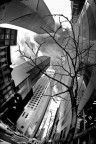 the big apple