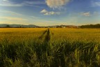 I  confini della citta