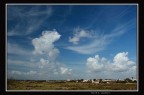 parco marino di porto cesareo..a torre s. isidoro(lecce)