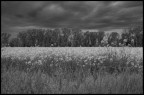 prima del temporale