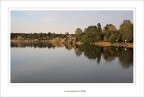 Sul laghetto....dorato
