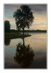 Riflessi