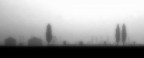 Nebbia