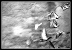 In caduta libera