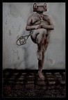 Il Signore delle Rane