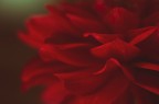 Il Rosso Nel Buio