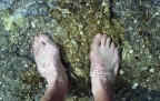 White wet socks