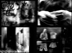 by animal collective