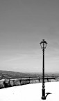 Todi