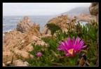 Sardegna