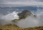 una nuova speranza