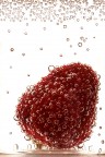 Bollicine