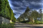 la via