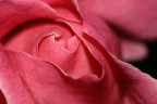 PROFONDO ROSSO