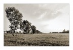 La..nel campo