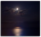 moon light moon light