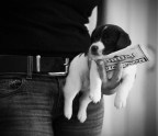 D80, Nikkor 50mm f/1,8