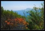 Punta dell'Incenso - Ponza