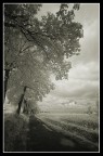 strada di campagna