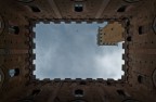 A siena col naso all'ins