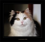 Bellissima.....