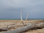 la quiete dopo la tempesta