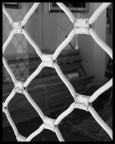 reticoli