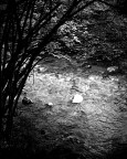 Acqua
