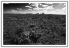 Desert View