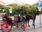 Ad ognuno il suo parcheggio