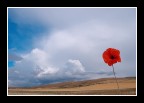 ...PHOTO 4 U ...