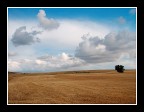 ...ZEN &amp; THE COUNTRY...