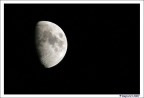 Luna notte
