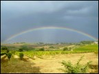 Scattata la scorsa estate nel Chianti con la compattina Fuji F710