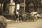 Horse Station