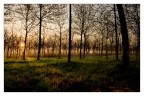 Alba d'inverno