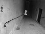 Anghiari, 2008