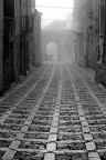 nebbia