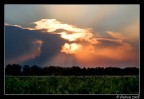 Tramonto Salentino