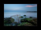 The Cage of Pearls