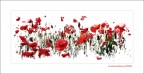 Nel rosso....
