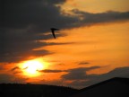 Tramonto